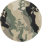 NTCO